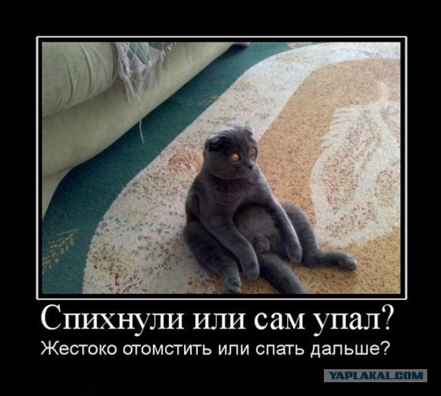 Картинки разные