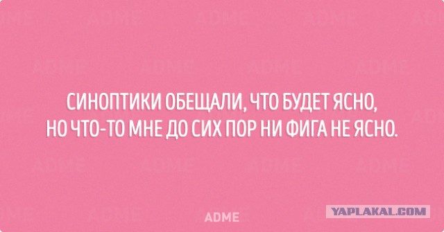 Картинки из интернета