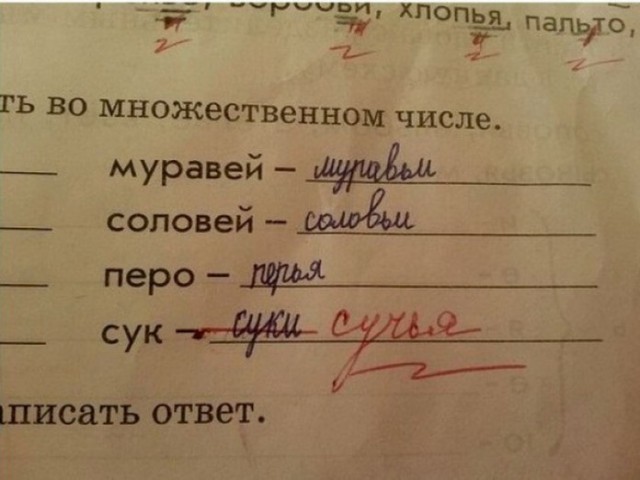 Ужасы и приколы из соцсетей 18+