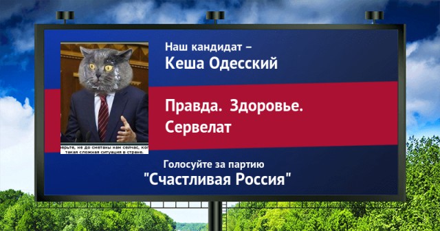Стань кандидатом от ЯПа