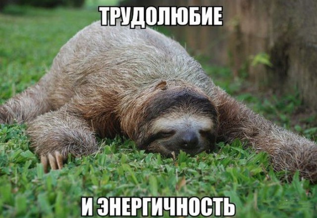Картинки всякие