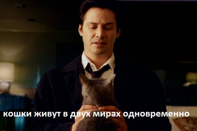 Это суровее, чем правда про Деда Мороза.