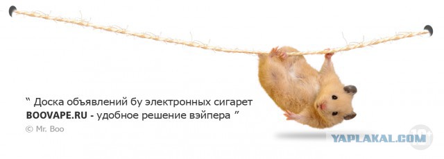 Вейперский клуб - 5