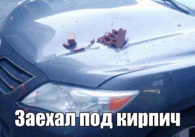 Подборка безудержного веселья