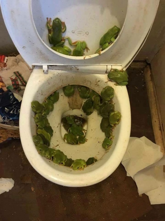Картинки всякие разные