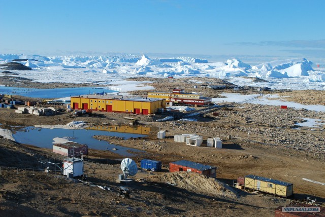 У какой страны больше всех полярных станций в Антарктиде