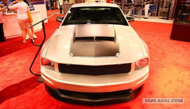 Sema Show 2008 (30 фото)