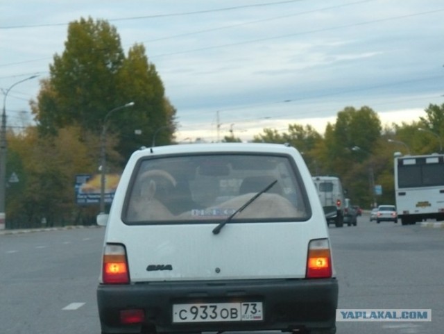 ОКА - лучший автомобиль для транспортировки...