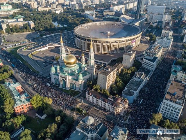 Дания - иммигрантам: Или ассимилируем или посадим
