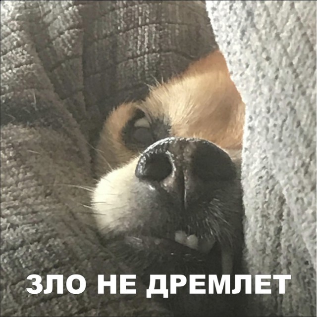 Прикольные картинки абавсём
