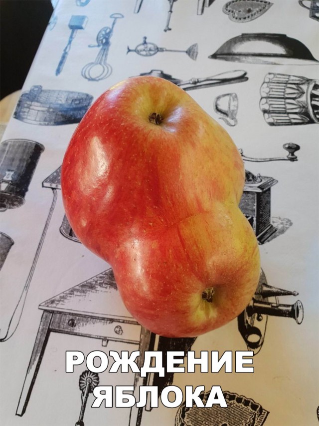 Нестандартный юмор