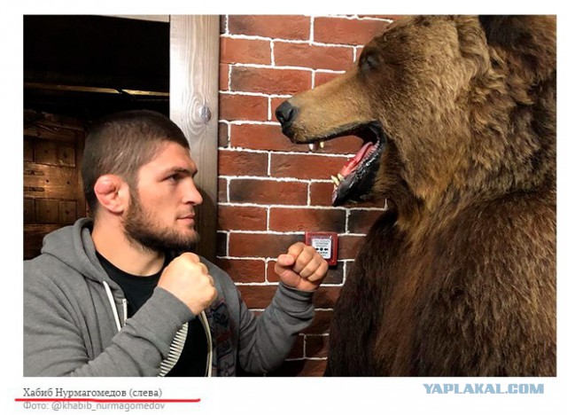 Глава UFC не исключил лишения Нурмагомедова титула чемпиона