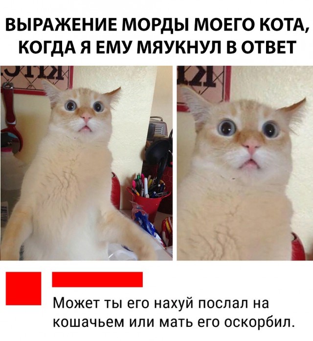 Нестандартный юмор