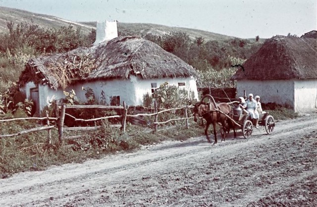 Героическая гибель одного полка. Дон-1942.