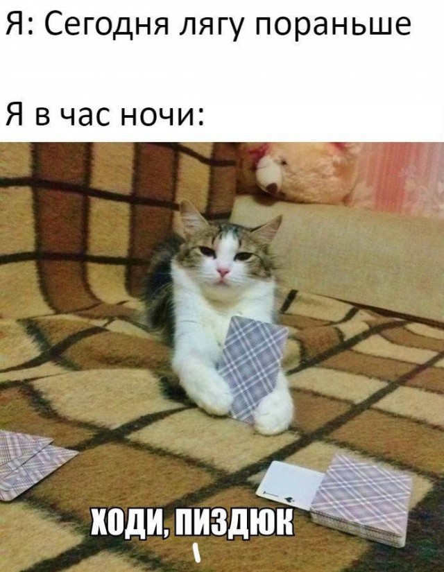 Свежие мемы и демотиваторы