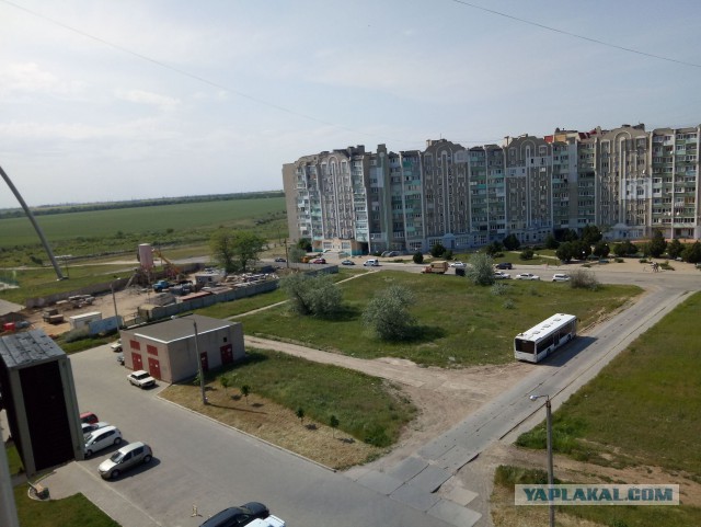 Лето, делимся видом из окна