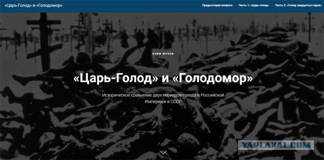 Пожилым россиянам посоветовали жить «чуть-чуть впроголодь»