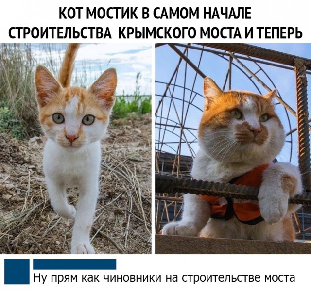 Чуток картинок 11.06.19