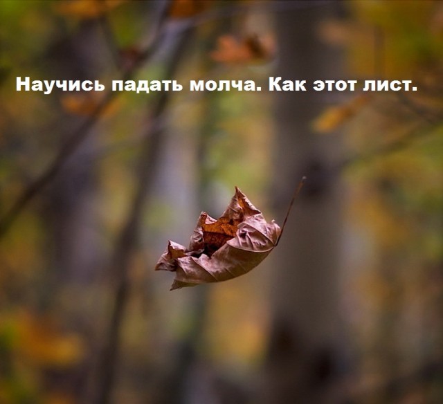 Немного картинок с надписями и без - 14