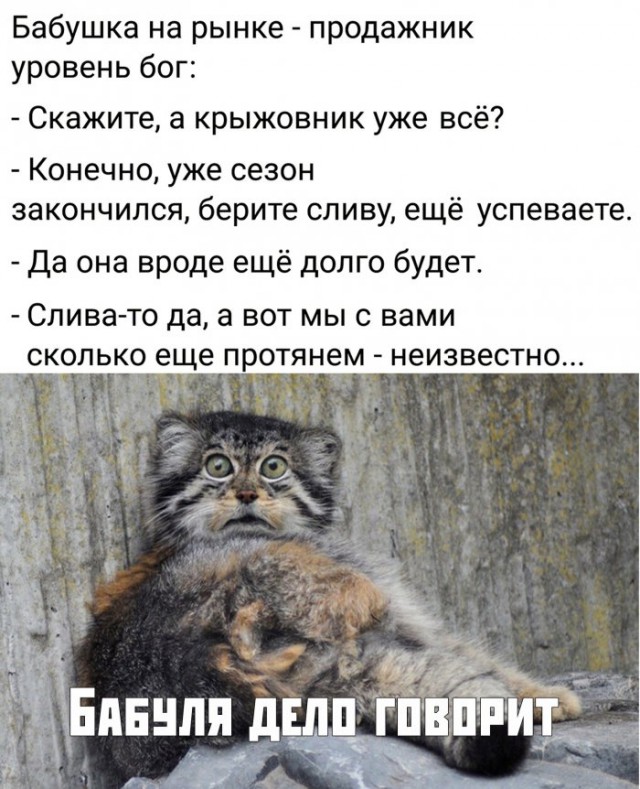 Картинки с надписями, истории и анекдоты 27.08.19