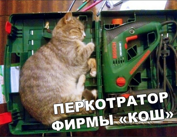«Картинки всякие нужны, картинки всякие важны» ©