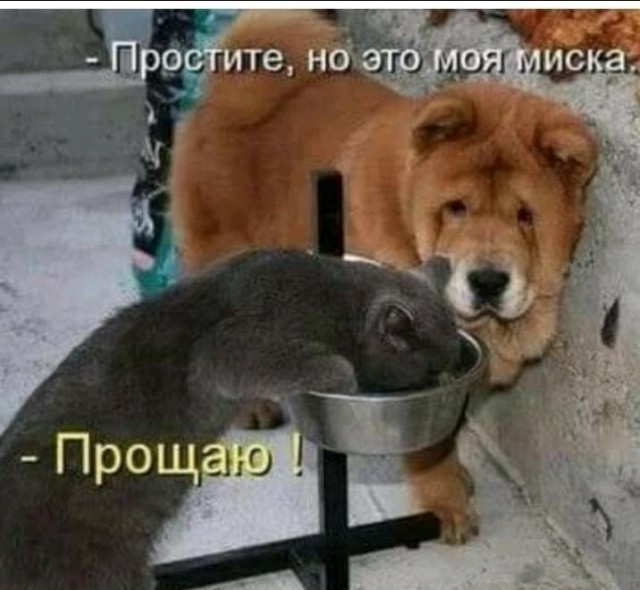 Небольшая подборочка для настроения
