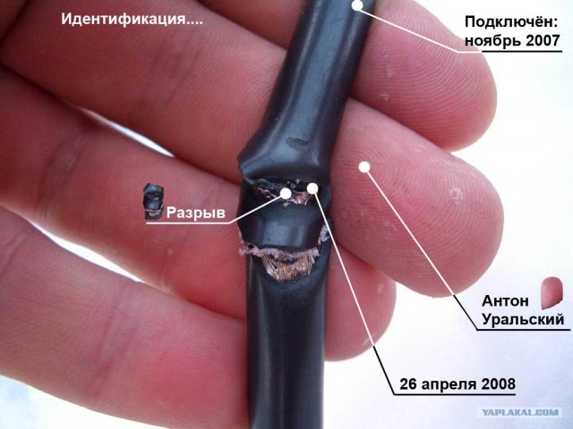 Фотожаба: Звонок в Стрим! Антон Уральский