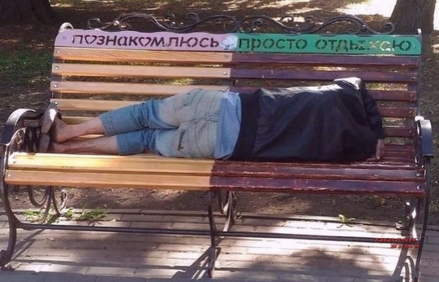 Скотсети и прочие интернеты 12.10.20