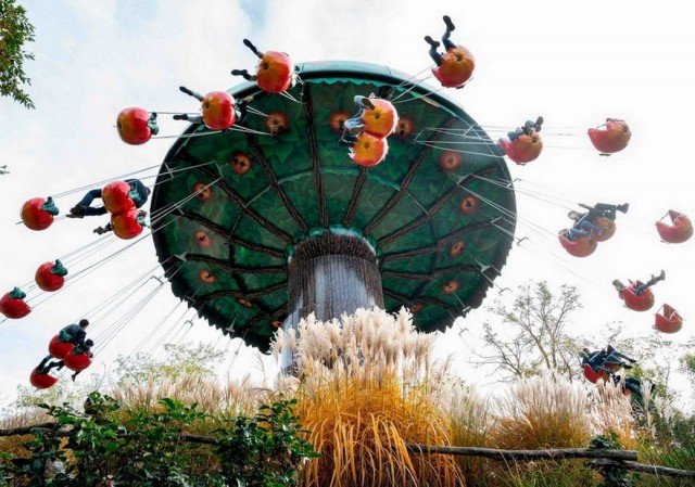 Прикольные и просто красивые картинки 12.11.2020