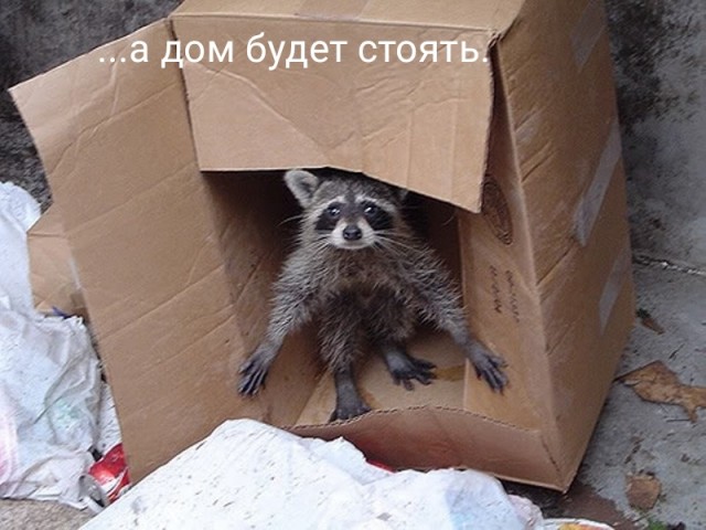 Строить ли капитальный дом к старости? Зачем так обустраивать будущее, которого может и не быть?