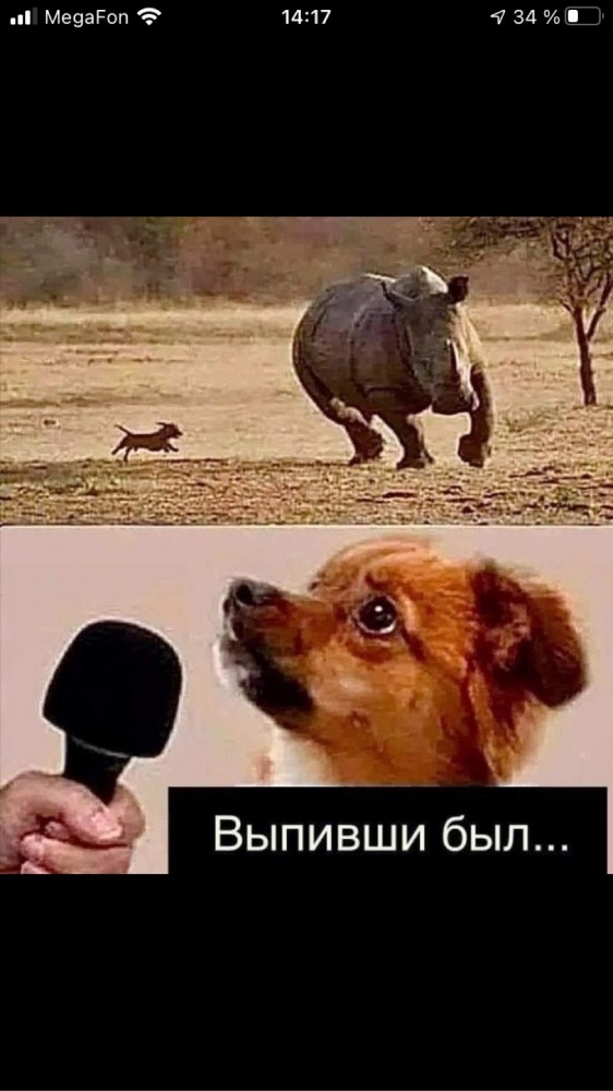 Задержание позитивного человека