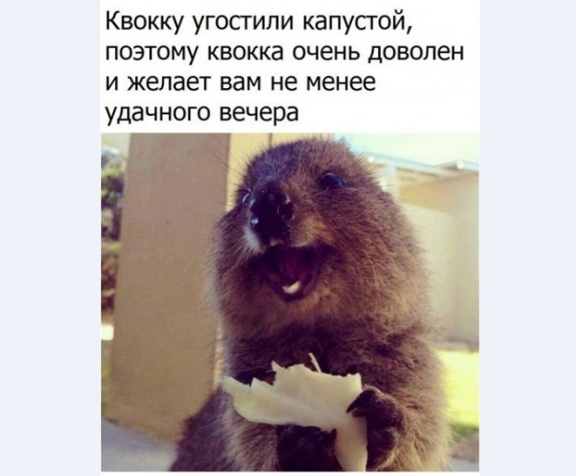 Картинки и мемы для настроения