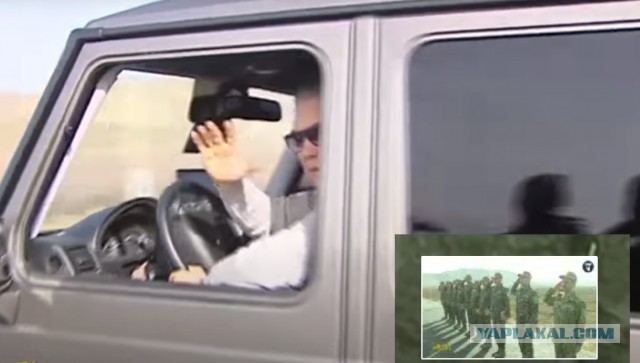 Вот это урожай, вот это я понимаю