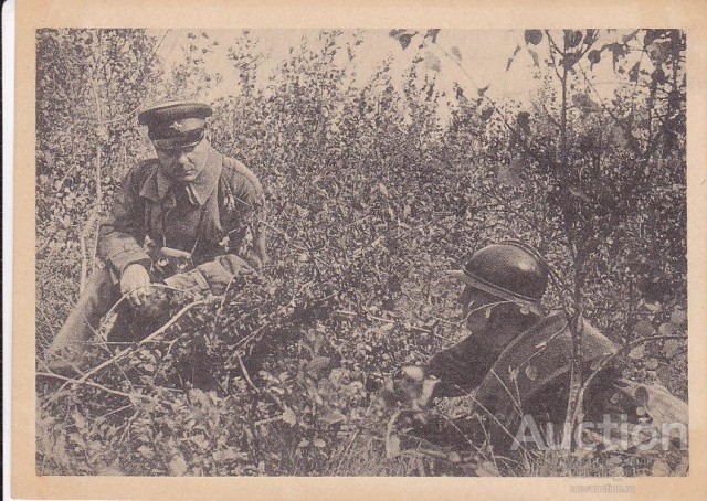 Оценка состояния РККА на основе проведенных в 1936 году военных маневров в Белоруссии