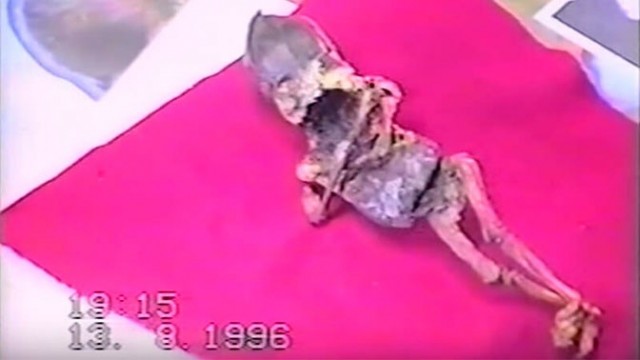 Разминка для мозга 2