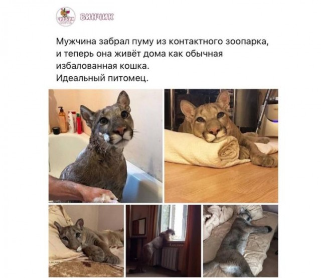 Картинки и мемы для настроения