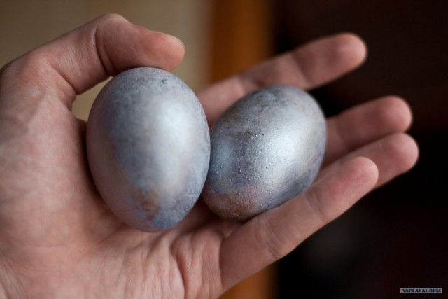 Вот это я понимаю полицейский!