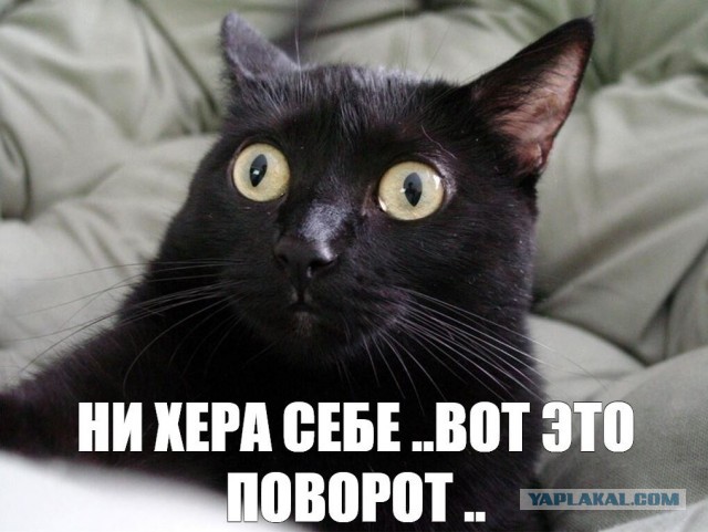 "Чего бл**ь?" Мем с девушкой
