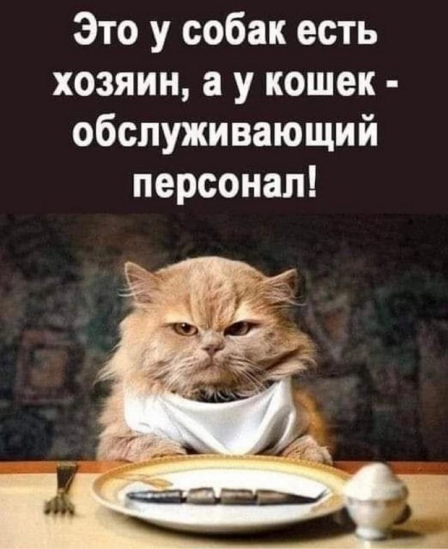 Всякие картинки, для расслабиться от всего вот этого...
