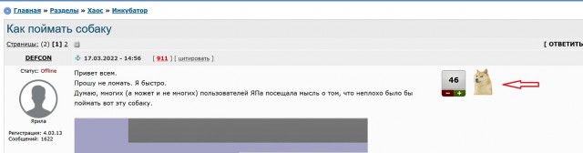Как поймать собаку