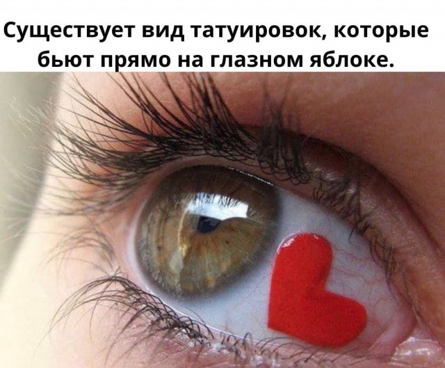 Так себе картинки 16.04.22