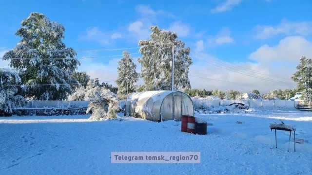 Забил сегодня на работу