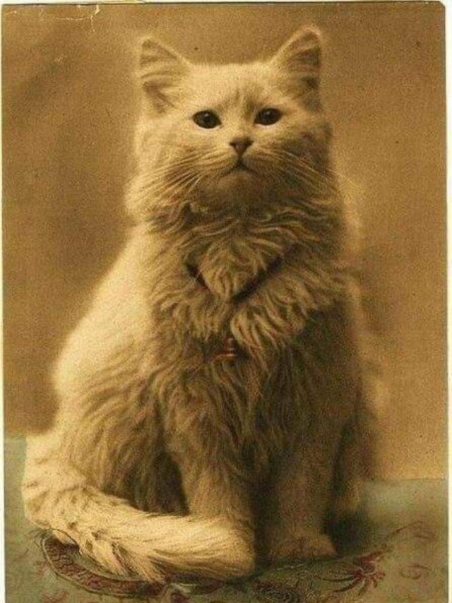 Исторические фотографии из прошлого