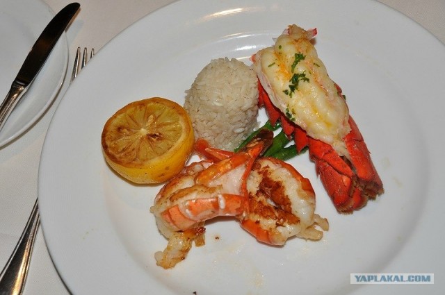 Любовь с первого взгляда