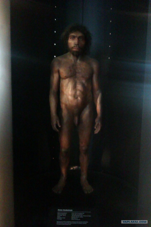 500 км. по Испании пешком