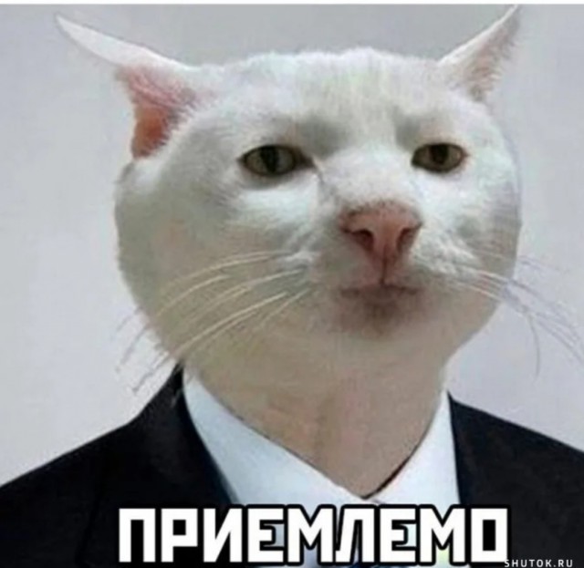 Не тут-то было