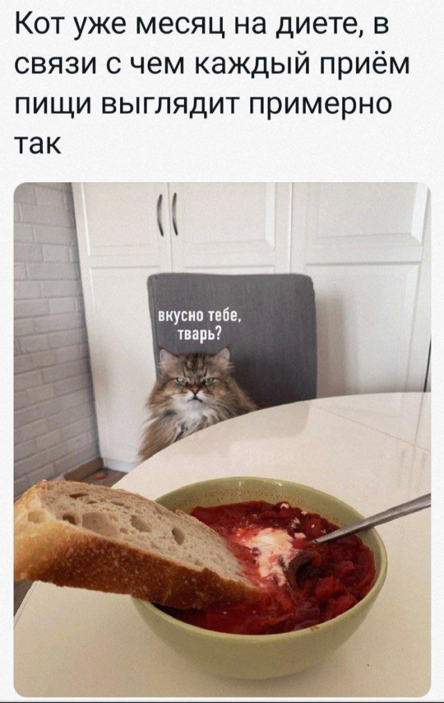 И так каждый раз