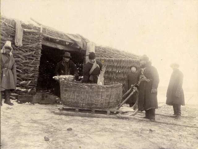 Сибирские казаки на службе и дома. Альбом 1911 года