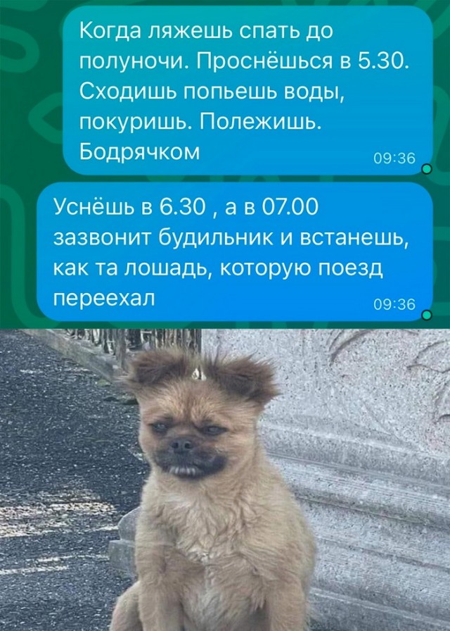 Картинки и мемы для настроения - 167