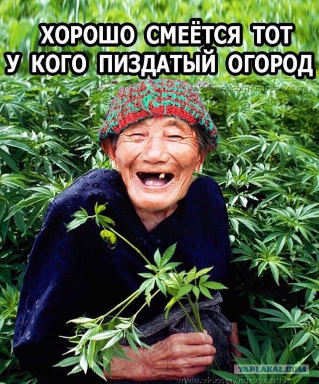 Моя неудача с грядками, может кто-то вынесет урок.